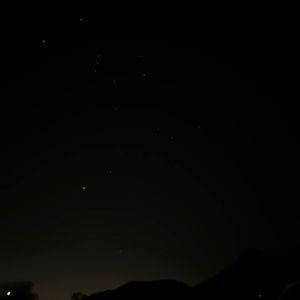 Meet your Posher, Priscilla